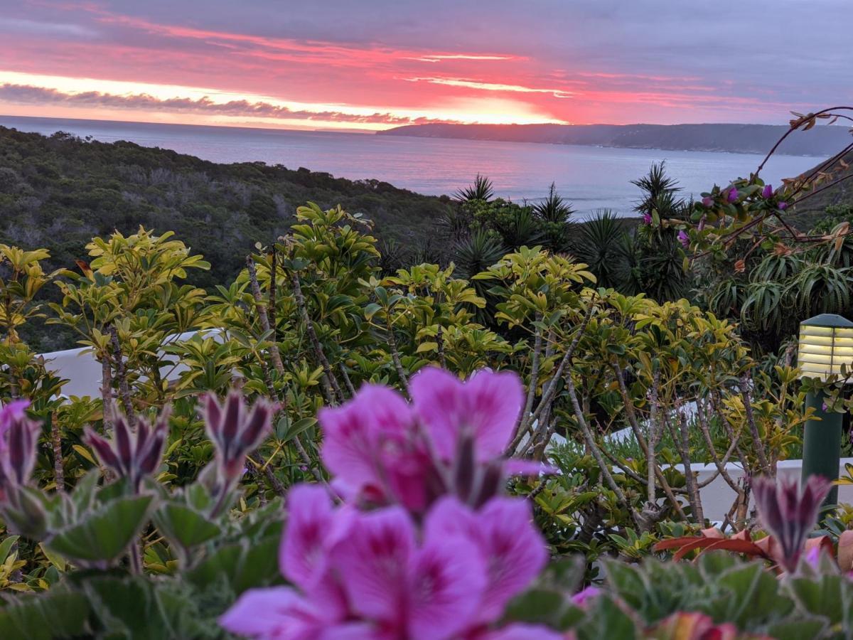 Villa Cape Garden Route Wilderness Exterior photo