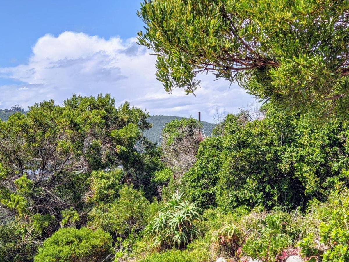 Villa Cape Garden Route Wilderness Exterior photo